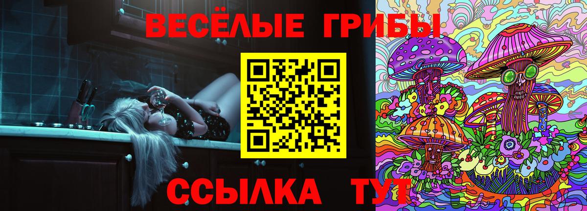Галлюциногенные грибы Psilocybe Семёнов